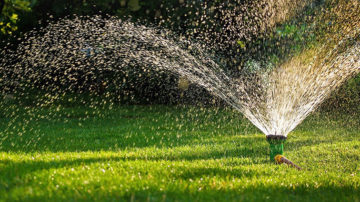 فضای سبز 