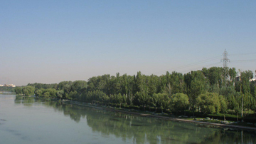 فضای سبز 