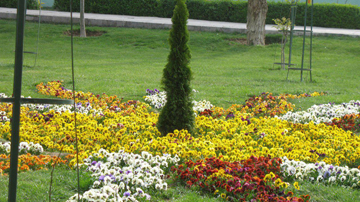 فضای سبز 