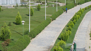 فضای سبز