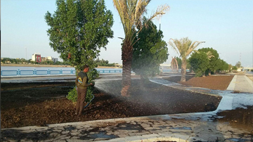 فضای سبز 